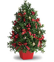 Deck the Halls Tree from Olney's Flowers of Rome in Rome, NY